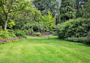 Optimiser l'expérience du jardin à Saint-Hilaire-de-Chaleons